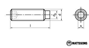 T6SS